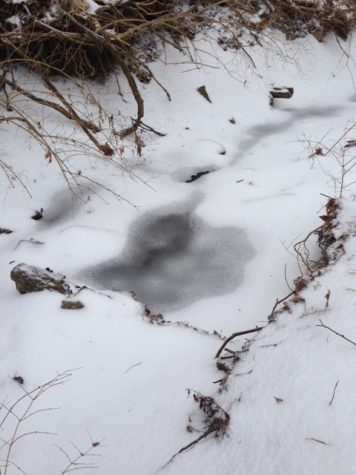 Less than inclement weather causes snow day