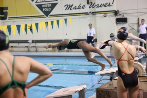 Freshman Sarah Abraham dives into the water preparing to swim the 100 yard breaststroke. In the off season, Abraham works out to stay in shape. “In the off season for swimmer I play water polo which helps me because it involves swimming and its good cross training,” Abraham said. 