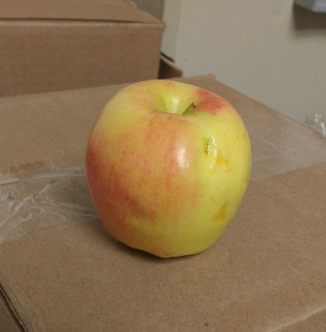 Why canned food drives should not be promoted