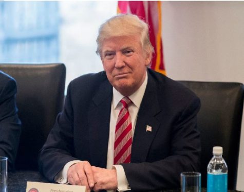 National Security Council member steals words