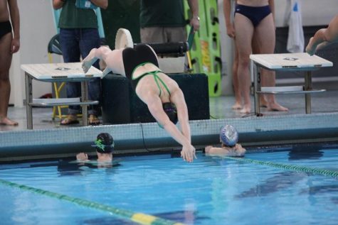 Swimming finishes strong at state