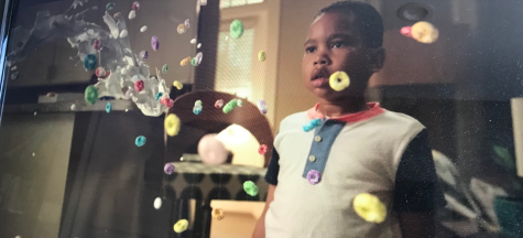 Raising Dion: a review