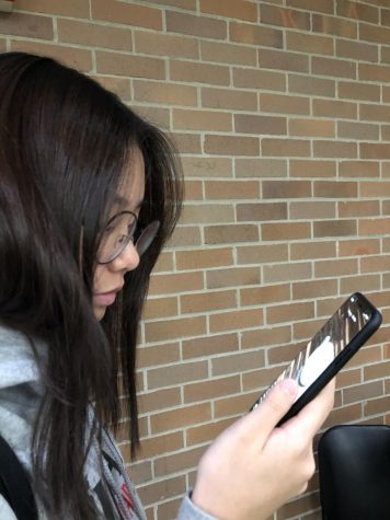 Recent monitoring has found ISIS propaganda on Tik Tok