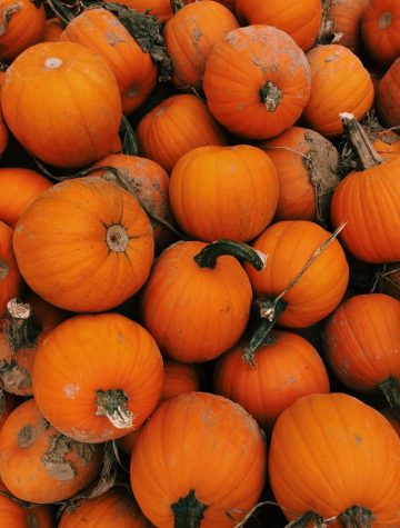 HOW TO HAVE A SAFE HALLOWEEN THIS YEAR. The holidays are now fast approaching and COVID-19 is still affecting every part of our life. Halloween is a time for candy, costumes, and celebrating, but can it still occur this year? Health officials recently released a list of guidelines and suggestions to help Ohio have a healthy Halloween. This Halloween everyone should be wearing their protective face masks, even if also wearing a costume mask, and should continue to be socially distant. While this should continue like always, the state offered some unique suggestions to celebrate the holiday safely. Some of these ideas include, holding a drive thru trick-or-treat, having a pumpkin carving contest over video call, and leaving treats in the mailboxes of friends and neighbors. Though our world has never been more different, Halloween should still be a time of celebration. Stay Safe!
