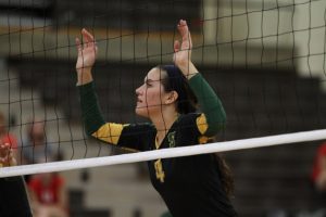 Julia Cole, 12, prepares to block at the net. She and her twin, Laura, play on opposite sides of the court: Julia’s main role is a left side hitter, while Laura normally plays as a right side hitter. As it is the last year in their high school career, they push their team toward the ultimate goal of winning the State Championship. Photo courtesy of McDaniel’s Photography