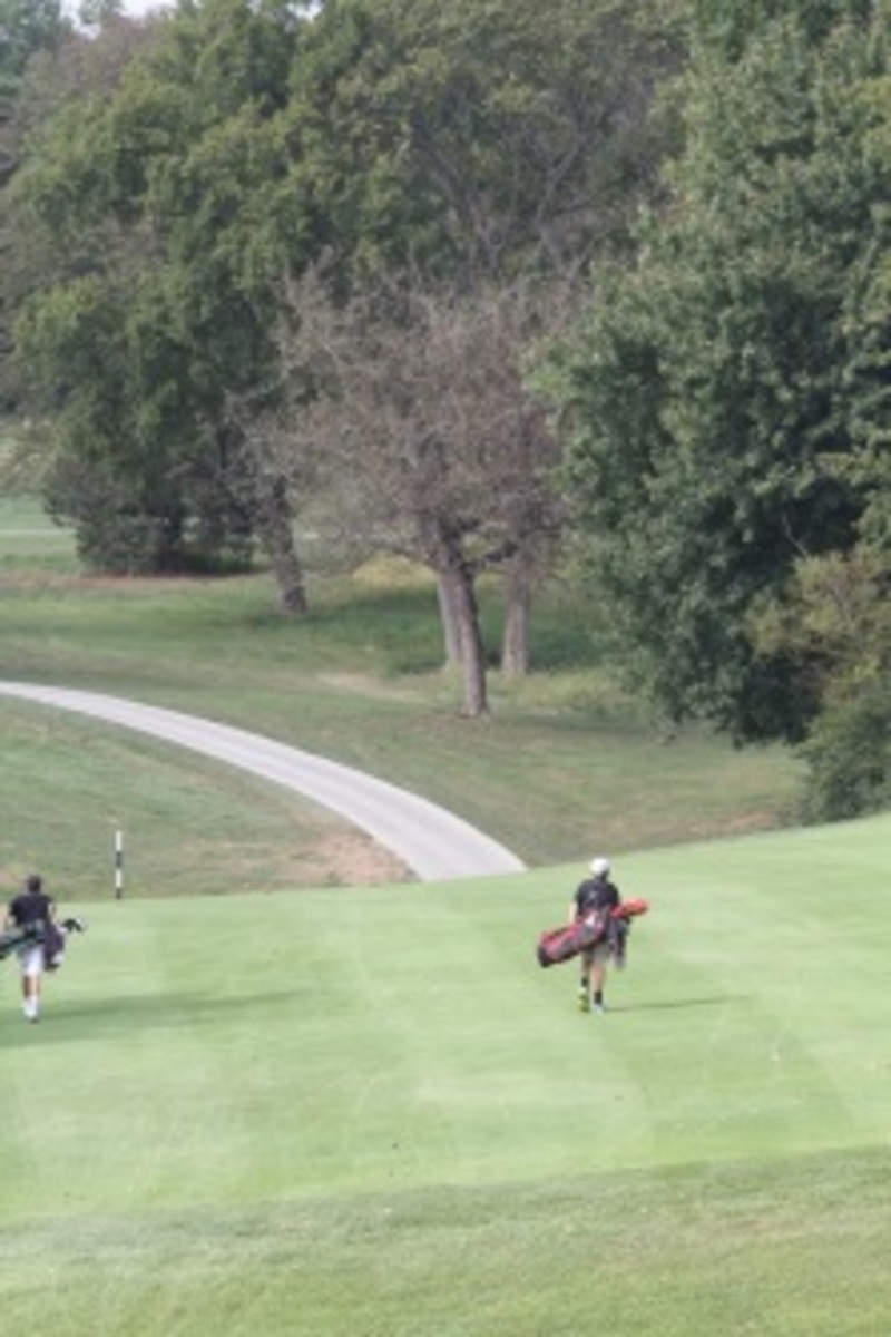 JV boys golf team 'drives' away 2013 season