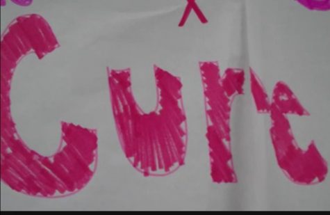 Volley for the Cure 2012