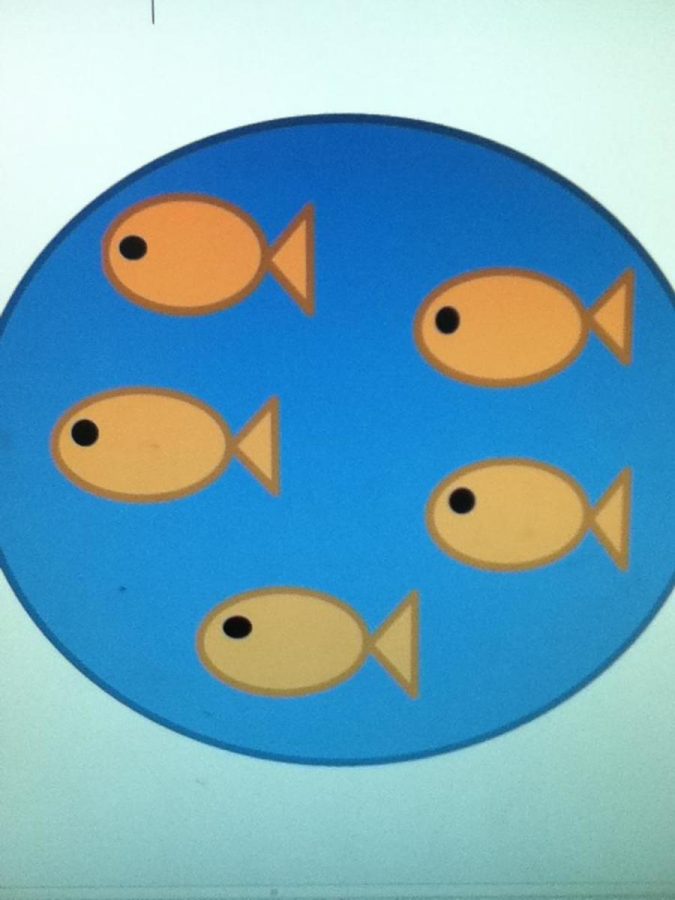 The activity is called a fishbowl because the students on the inside are being observed by those on the being observed by those on the  outside, like fish in an aquarium. Fishbowls can also be a good setting for a debate. It is a very easily controlled setting for the teacher, which is why it is a good classroom activity. Image by Emily Tyler.