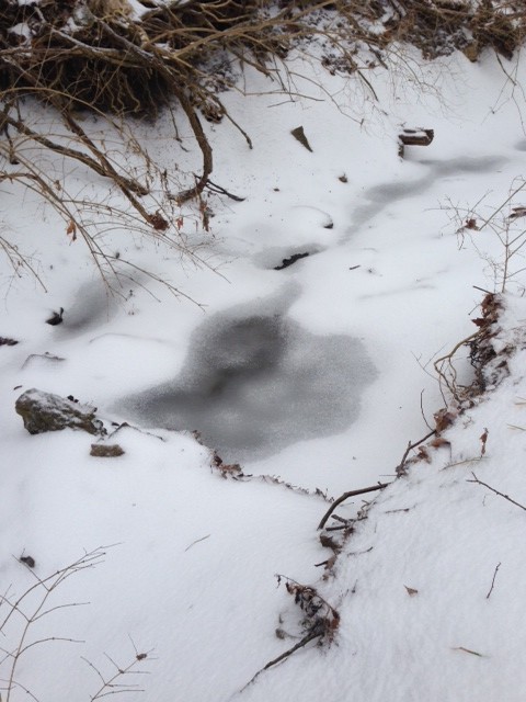 The storm only reached low temperatures of 28 degrees Fahrenheit, allowing creeks and streams to only partially freeze.