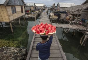 Some foods cost more than $5000. such as the Dansuke watermelon that is priced a $6100. Photo courtesy MCT Direct.