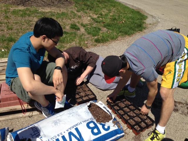 Michael Choi and Yuan Zhang, both 11, plant cucumber seeds. 16 people attended Garden Club’s Annual Seed Planting Day on Apr. 23. In a few months the seeds will have transformed into full grown plants yielding herbs, fruits, and vegetables that will be delivered to the Blue Ash Cancer Support Center. Photo Courtesy of Katie Steinberg. 