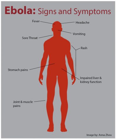 Ebola infographic