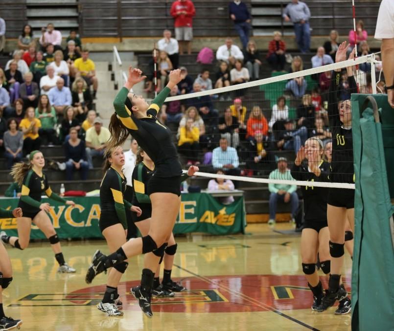Volleyball starts State tournament on strong note