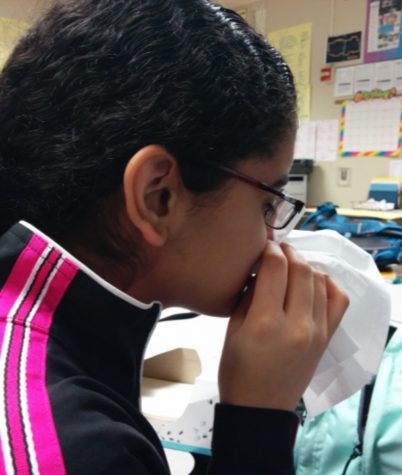 Attack of flu season