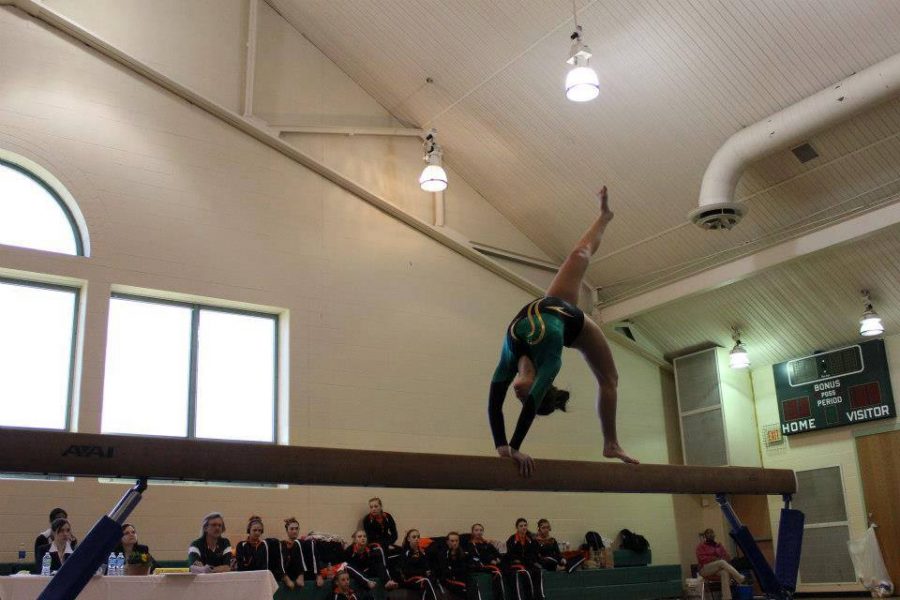 Senior Molly Gearin competes on the beam at a meet last year. Beam is her favorite event. Gearin is looking for interested students to join the team. 