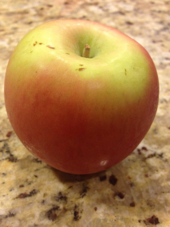 Bonus: Apples can help improve study habits and academic performance. The peel of the apple includes a powerful antioxidant called quercetin that enhances memory function. And as the popular saying goes: “An apple a day keeps the doctor away!”
Photo Courtesy: Amy Deng