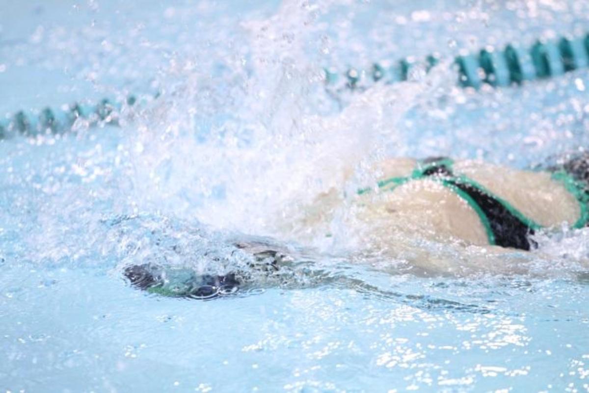 Swimming a race, stroke by stroke