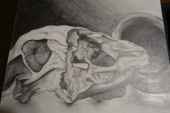 This drawing is a still-life of a cow skull and clay pot. There is a clear light source in the picture and the shadows give a more realistic feel. Try to always locate where your light is coming from in your art.