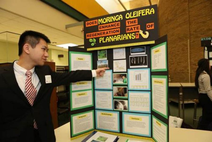 Freshman Victor Lim presents his board to a panel of judges at the school Science Fair. His project was on the effect of Moringa Oleifera on Planarians. He received a score of Superior which qualified him for the Regional Science Fair. 
