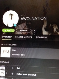 The name AWOLNATION comes from the military acronym AWOL that stands for Absent Without Ordered Leave. Bruno had the nickname Awol, which is what gave him the inspiration for the bands name. He got the nickname because he “would leave without saying goodbye because it was just easier,” Bruno said when asked about the name. 