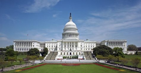 In the most recent session of Congress, senators and representatives will be discussing countless topics. One issue that will have a lifesaving impact is the Stem Cell Advancement Act. This would allow the research of stem cells to proceed with a federal backed budget. Photo courtesy of MCT Campus