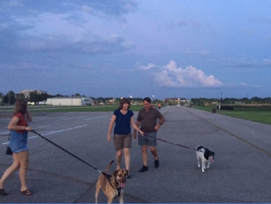 Summit Park already features a family-friendly dog park. Additionally, its long stretches of road that airplanes used for taking-off and landing make long walks with family easy. The sky is always visible in the vast space.