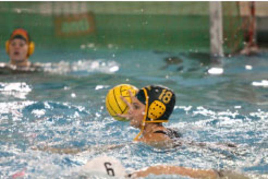 Senior Jory Gould, four year player and captain takes a shot completing her full line of stats. The Lady Aves are currently 21-3 and are undefeated against all water polo teams in Cincinnati.
