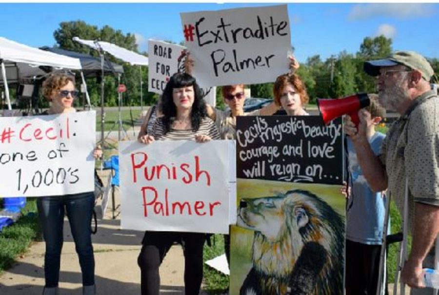 These are just a few of the thousands who have risen in protest to Palmer’s escape from trouble. The decision has been made, but it is clear that people are pushing for change in the way animal hunting is judged. Palmer was forced to temporarily close down his dental practice. 