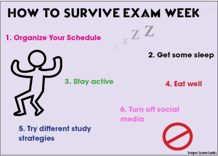 How to survive exam week