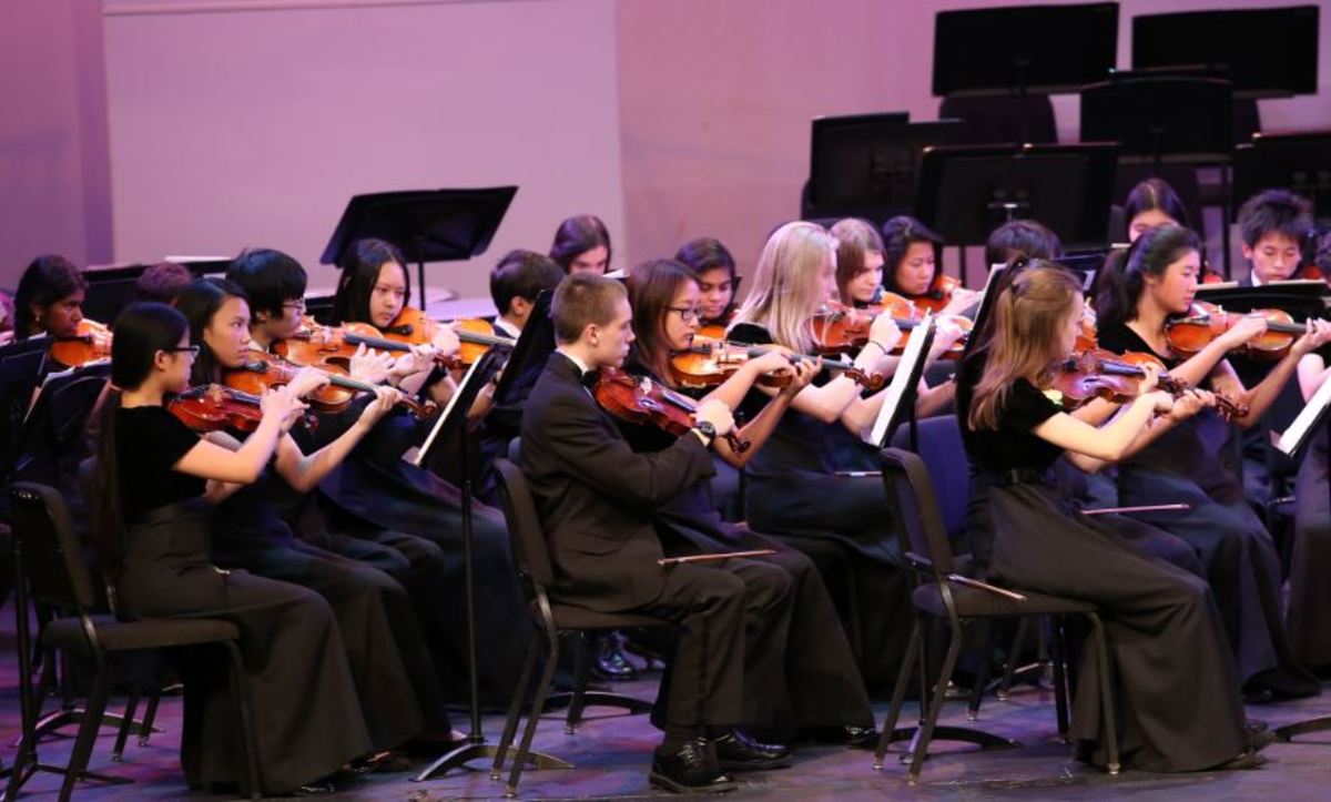 Orchestra shines in senior spotlight
