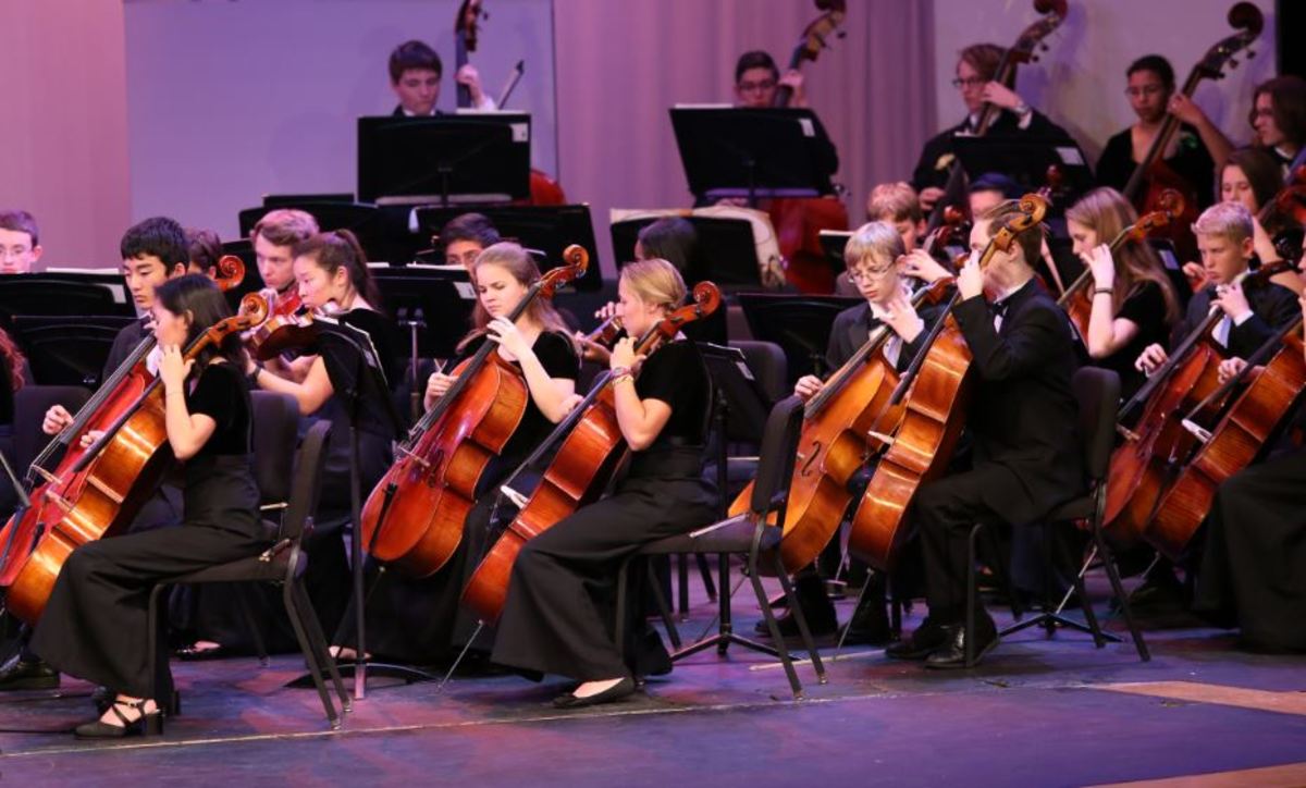 Orchestra shines in senior spotlight