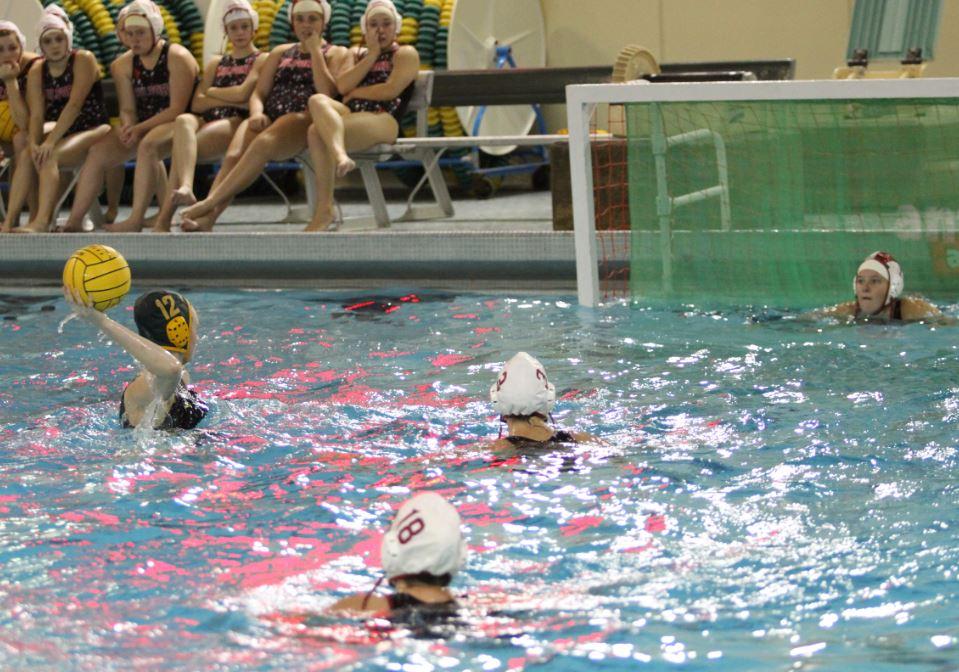 Water Polo takes a shot