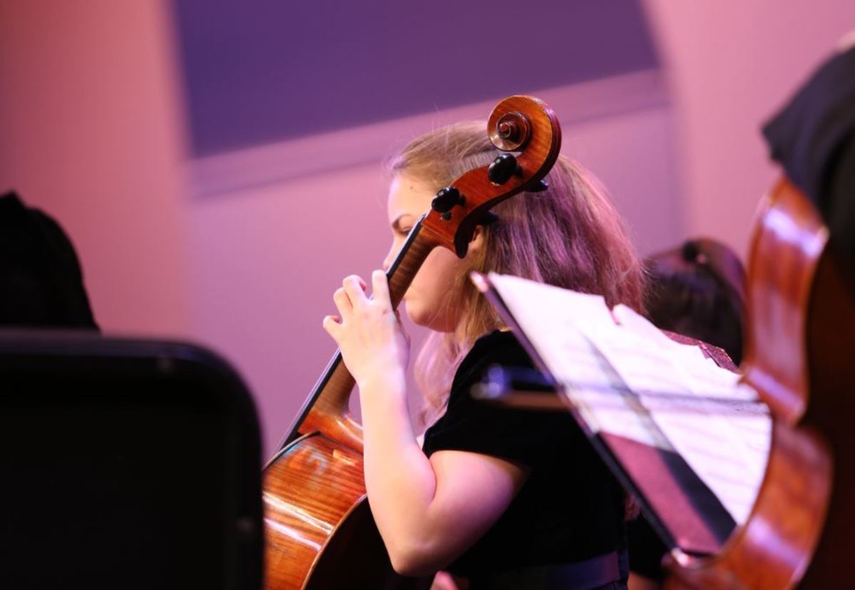Orchestra shines in senior spotlight