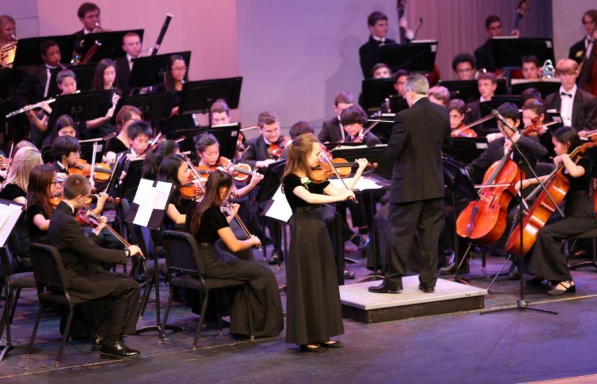 Orchestra shines in senior spotlight