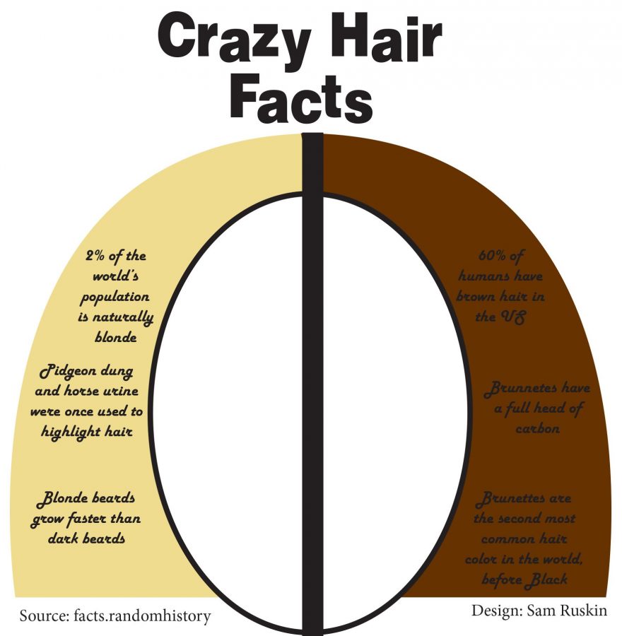 Crazy hair facts