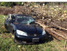    This car in Florida has flipped over because of the slick, wet roads. With the technology that the spherical tires possess, accidents like this one would happen 
much less frequently. The future likely holds they key to safety.
