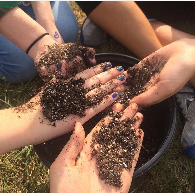 With hands coated in dirt, Thea Ferdinand, 11, Annie Marsh, 11, Emily Chien, 11, and Jodie Lawson, 11, work hard to cultivate their plants. Gardening Club meets every Friday in the commons. Participants plant vegetables and discuss environmental issues.
