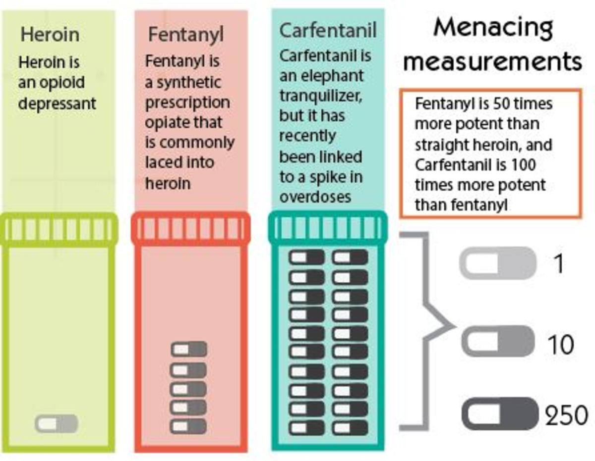 measurements