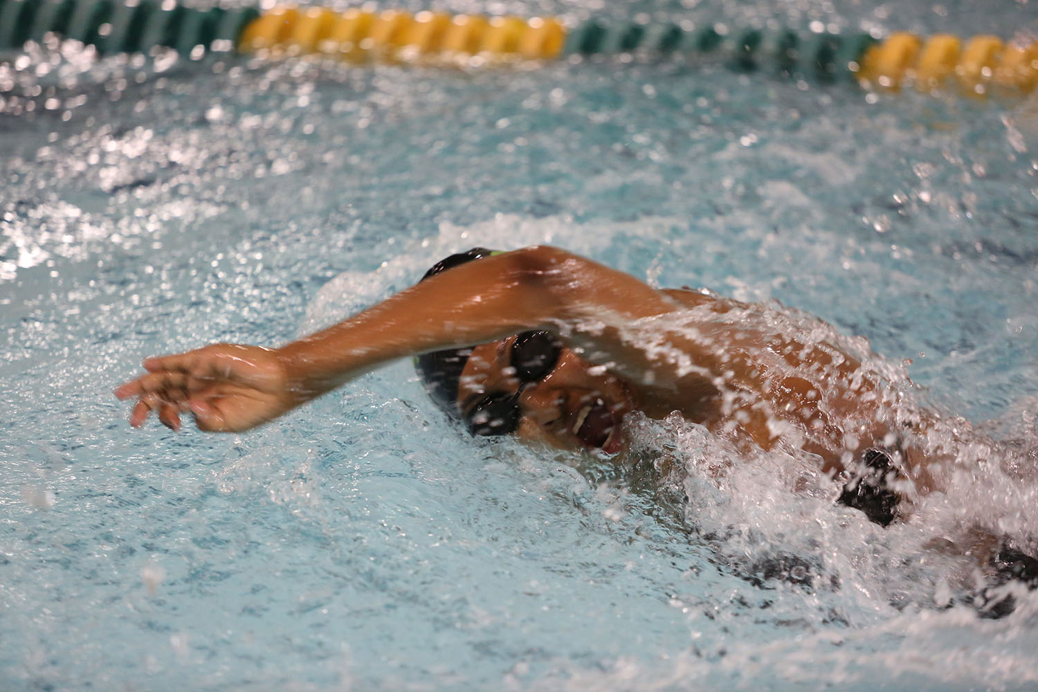 Diving into swim season