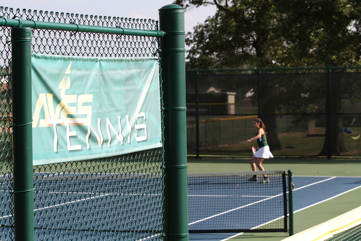 JV Girls’ Tennis aces season