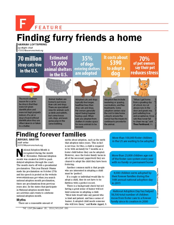 Finding furry friends a home