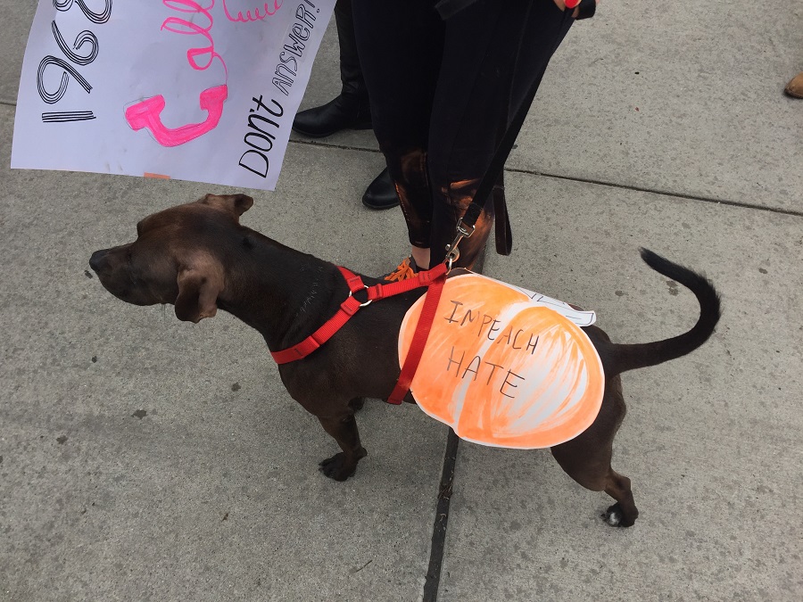 Women’s March empowers students