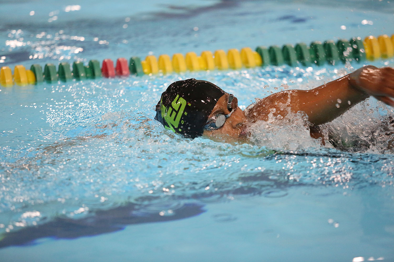 Swimming dives into meet