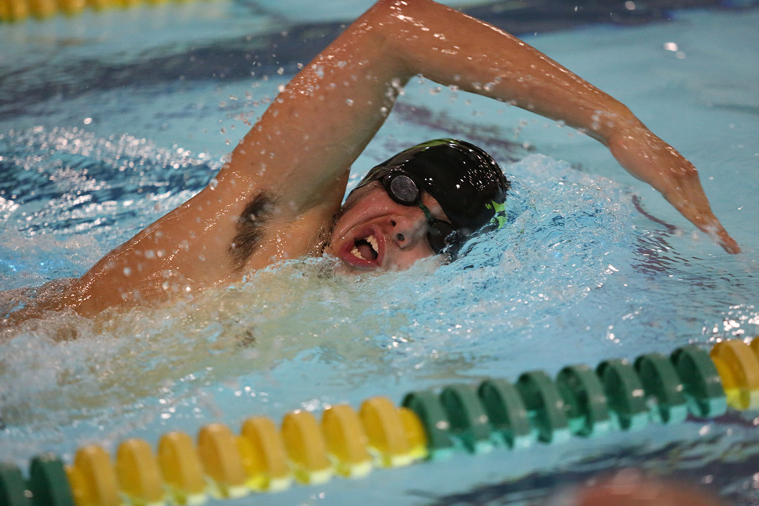 Swimming dives into meet