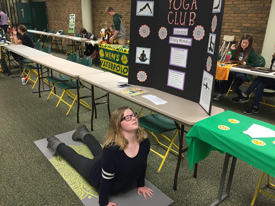Yoga+Club+president+Creek+does+a+sun+salutation+in+from+of+her+booth.+The+booth+was+for+the+Academic+Fair+on+Jan.+10th.+Creek+tried+to+sell+Yoga+Club+to+incoming+freshmen+and+other+class+men+that+have+not+tried+Yoga+Club.+