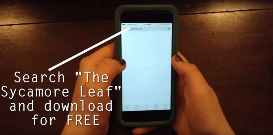 "The Sycamore Leaf" App!