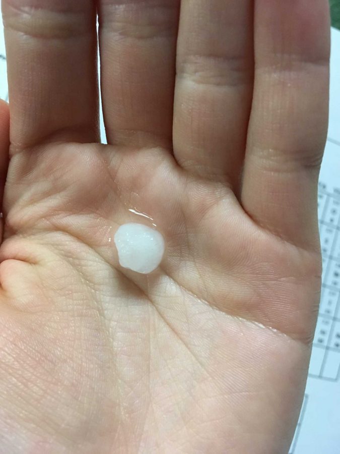 HAIL MOTHER NATURE. This is one of the hails from the hailstorm this morning. Many students were hit by the hail but it didn’t cause any severe injuries. The storm lasted very shortly but was a very heavy downpour. “I was inside when [the storm] happened but it was really crazy,” said Grace Creek, 10.