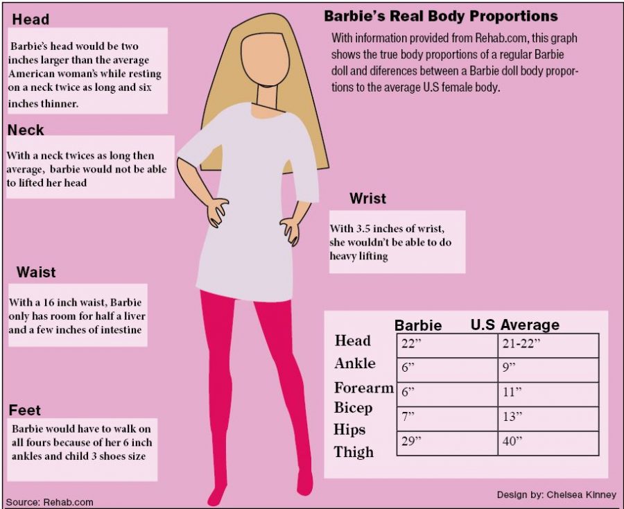 Barbies true body proportions revealed