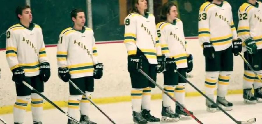 Aves Hockey