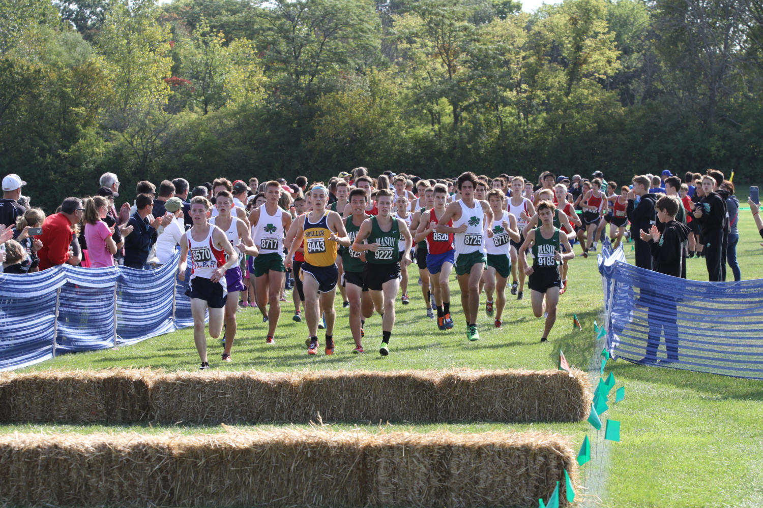 Cross country runs into Mason Invitational